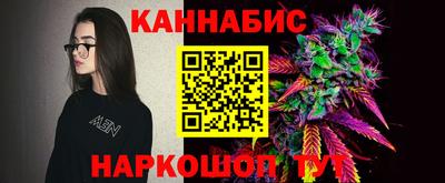 шишки Изобильный