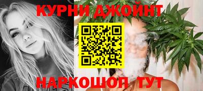 шишки Изобильный