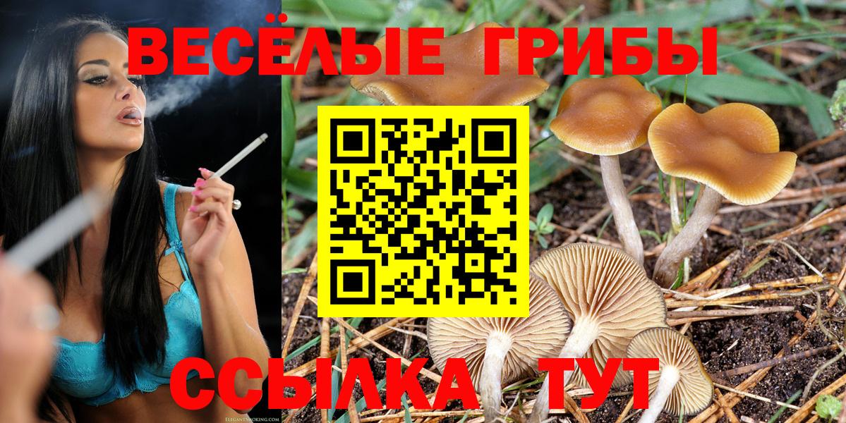 Галлюциногенные грибы Psilocybe  Вход с VPN  Искитим 